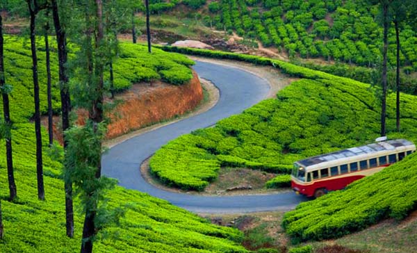 Tour from Visakhapatnam to Munnar