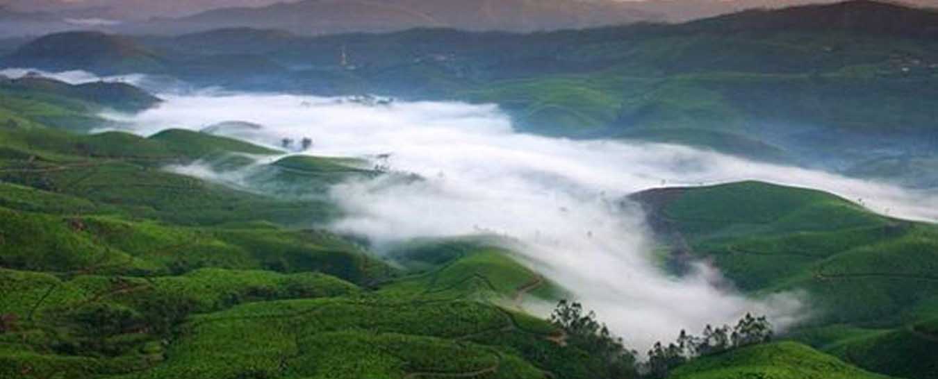 munnar tourism packages